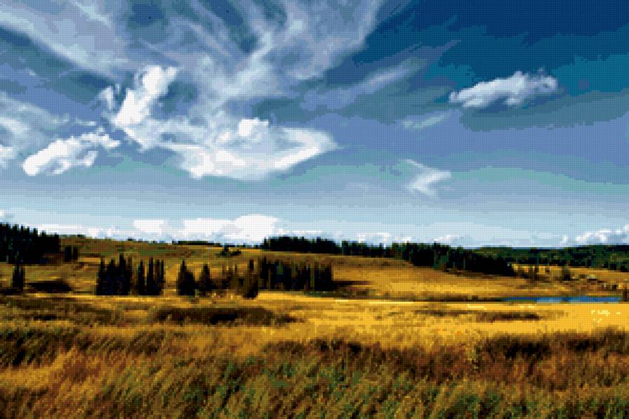 просторы полей - поле, природа, пейзаж, небо, рожь - предпросмотр