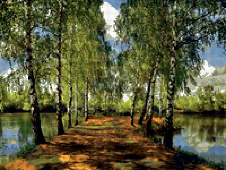 Березы - природа, березы, схема - предпросмотр