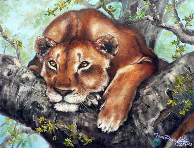 Милая зверюшка - оригинал