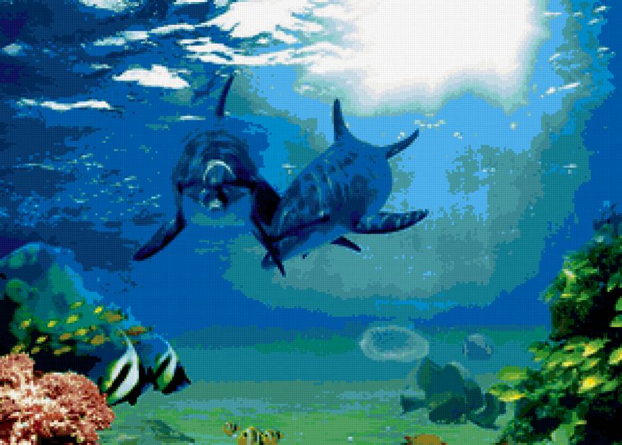 delfini - дельфины - предпросмотр