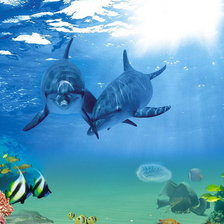 Схема вышивки «delfini»