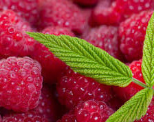 Схема вышивки «малина»