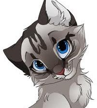 Схема вышивки «голубоглазая кошечка»