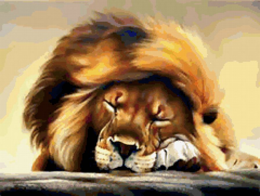 царь зверей отдыхает - коты, лев, животные, дикие кошки, сон, отдых - предпросмотр