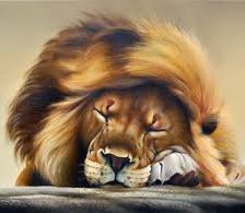 Схема вышивки «царь зверей отдыхает»