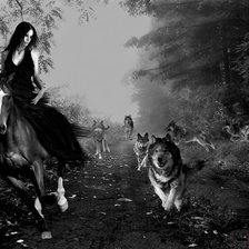 Схема вышивки «Девушка с волками»