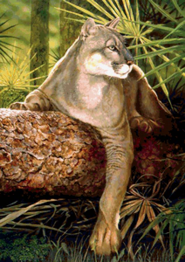 Пантера - пантера, дерево - предпросмотр