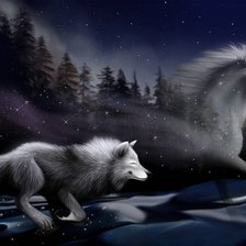 Схема вышивки «Волк»