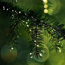 Схема вышивки «Триптих ель (1)»