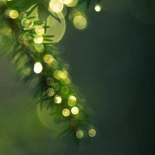 Схема вышивки «Триптих ель (3)»