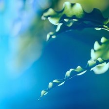 Схема вышивки «Диптих ветка 1»