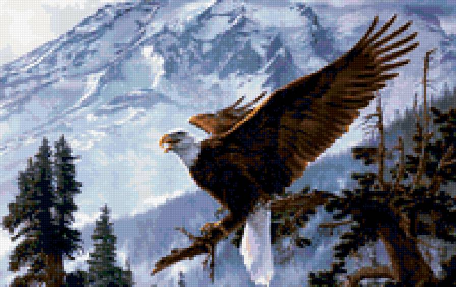 орел - предпросмотр