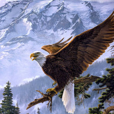 Схема вышивки «орел»