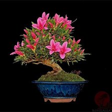 Схема вышивки «Цветущий бонсай»