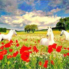 Схема вышивки «белые кони»