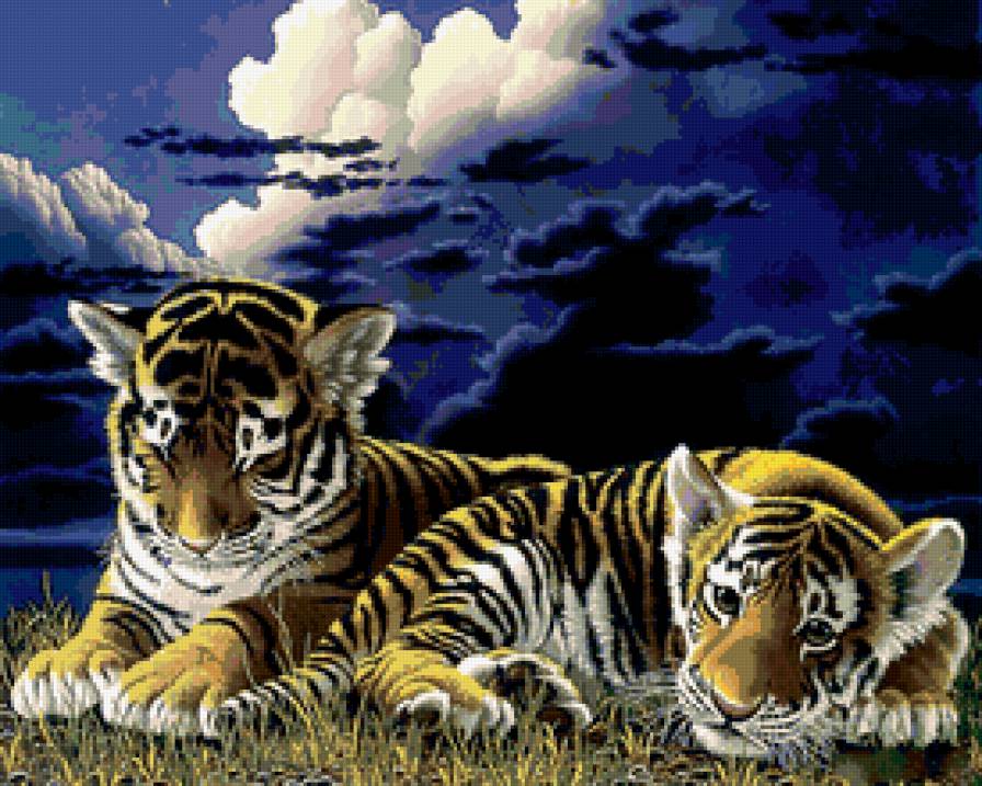 тигрята - тигры, животные, звери - предпросмотр