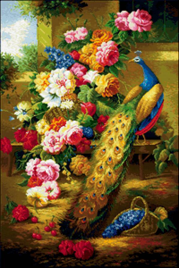 Павлин 120 цветов - предпросмотр