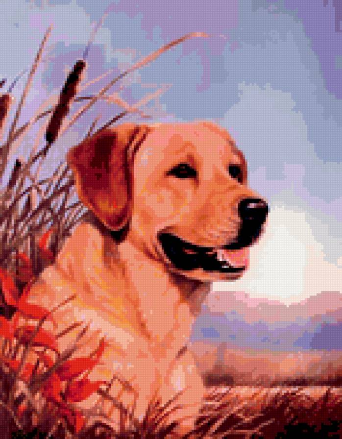 0144 - лето, красота, природа, собаки, животные, картина, собака - предпросмотр