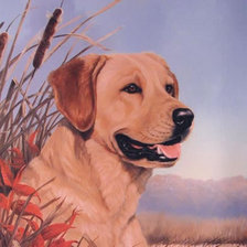 Схема вышивки «0144»