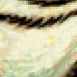 Предпросмотр схемы вышивки «попугай» (№433512)