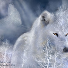 Схема вышивки «Зов луны»