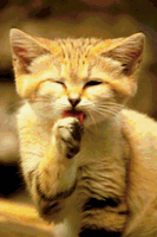 Пушистик - кошки - предпросмотр