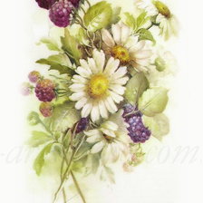 ромашки с ежевикой