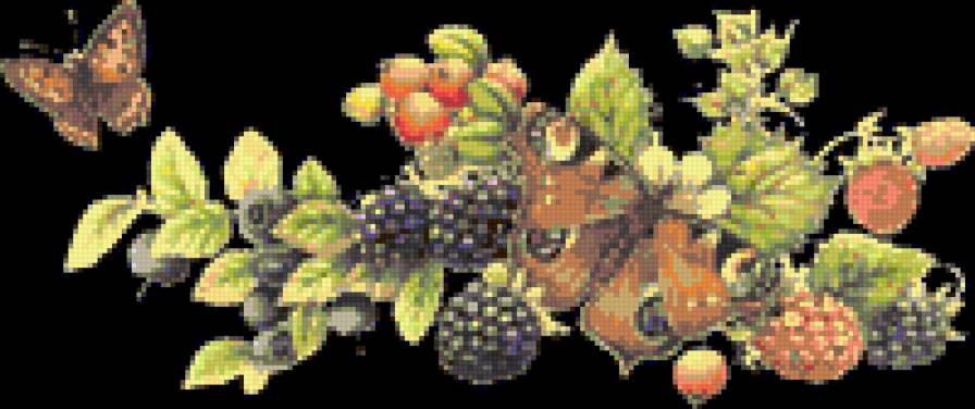 бабочки и ежевика - бабочки ягоды ежевика - предпросмотр