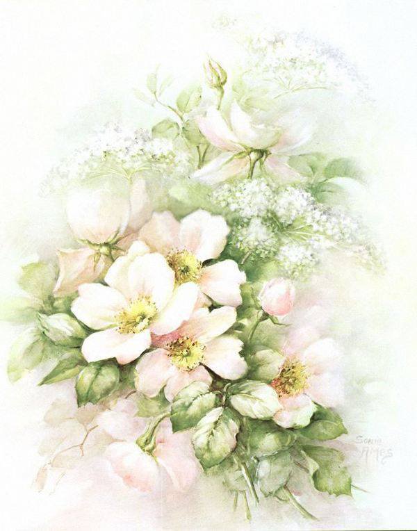 нежность - цветы - оригинал