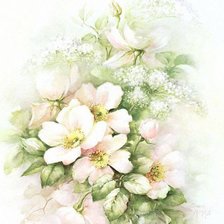 Схема вышивки «нежность»