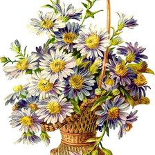 Схема вышивки «корзина ромашек»