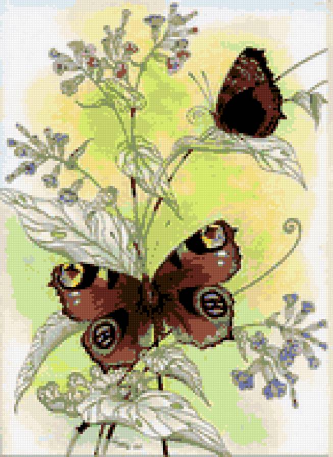 бабочки - цветы бабочки - предпросмотр