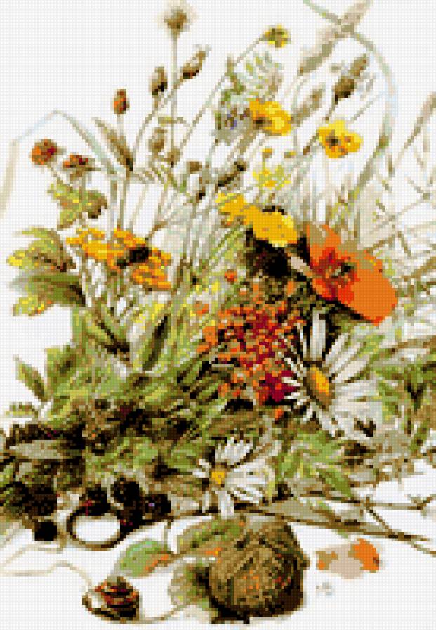 полевые цветы - цветы ромашки - предпросмотр