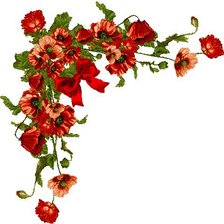 Маки на скатерть