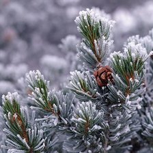 Схема вышивки «Иней»