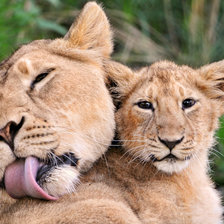 Схема вышивки «родительская любовь»