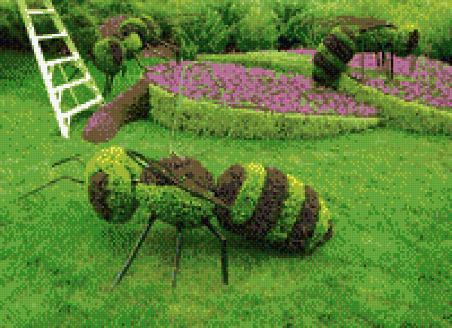 пчелки - выставка, зелень, монреаль, пчелы, парк, пчела - предпросмотр