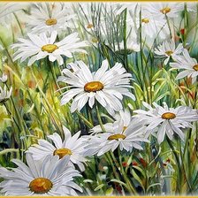 Схема вышивки «Ромашки.»