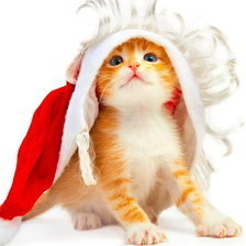 Схема вышивки «киса»