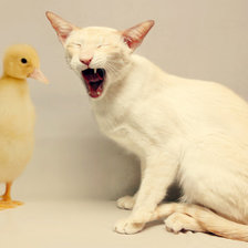 Схема вышивки «друзья»