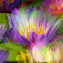 Схема вышивки «Лотосы абстракция»