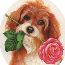 Схема вышивки «Я скучаю по тебе...»