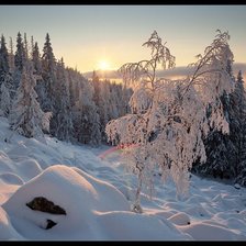 Схема вышивки «уральская зима»