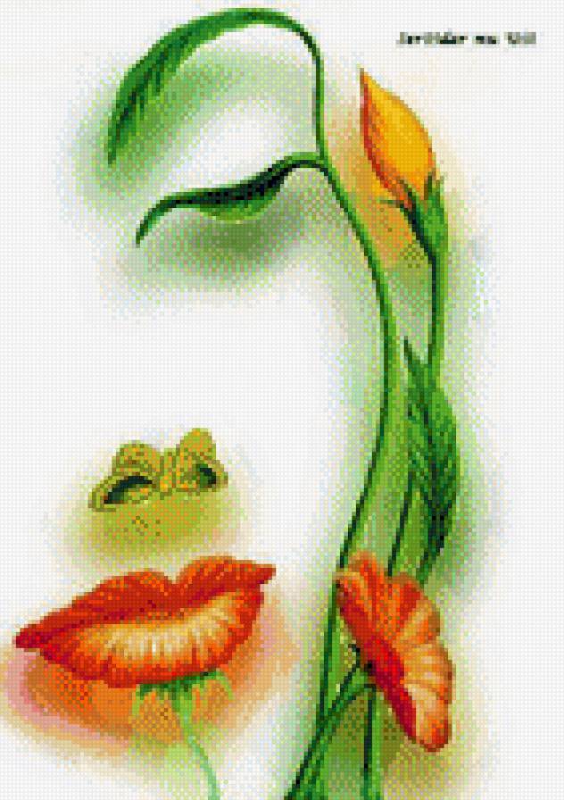 Девушка -цветок - цветы, лицо, девушка - предпросмотр