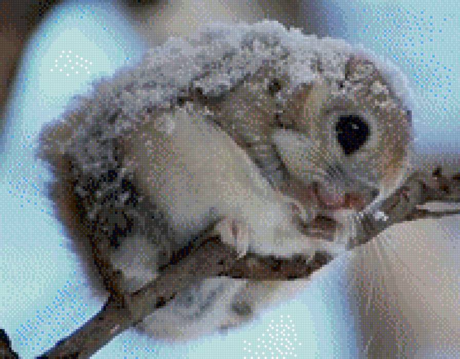 Крошка* - животные, снег, лес, зима, деревья - предпросмотр