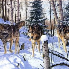 Схема вышивки «волки»