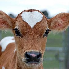 Схема вышивки «№435443»