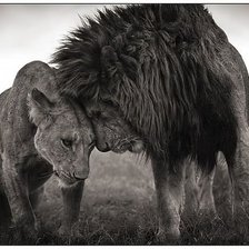 Схема вышивки «№435445»