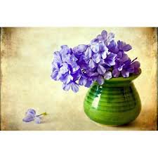 фиалки - букет, фиалки, цветы, красиво - оригинал