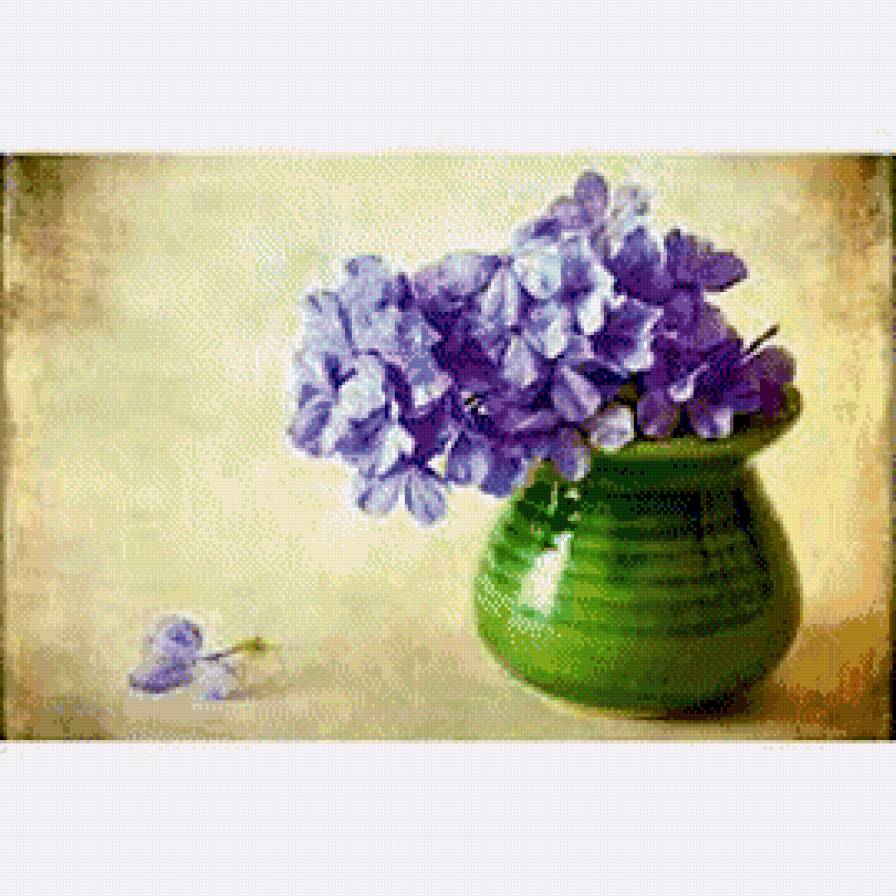 фиалки - фиалки, цветы, красиво, букет - предпросмотр